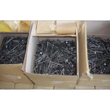 Low Price Galvanised Concrete Nails for Construction